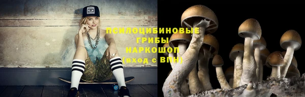 винт Алексеевка