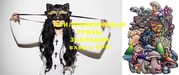 винт Алексеевка