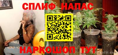 мдпв Татарск