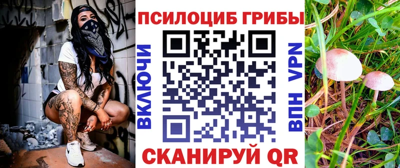 МЕГА ссылки  где можно купить   Саров  Псилоцибиновые грибы Magic Shrooms 