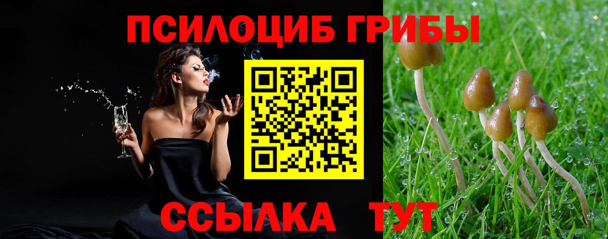 Саров  Псилоцибиновые грибы Psilocybe  Вход с VPN  Псилоцибиновые грибы Magic Shrooms 