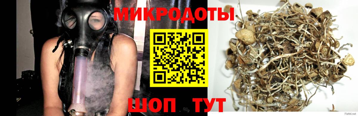 Псилоцибиновые грибы ЛСД Саров